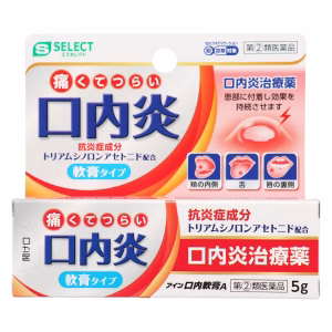 エスセレクト アイン 口内軟膏 A【第②類医薬品】